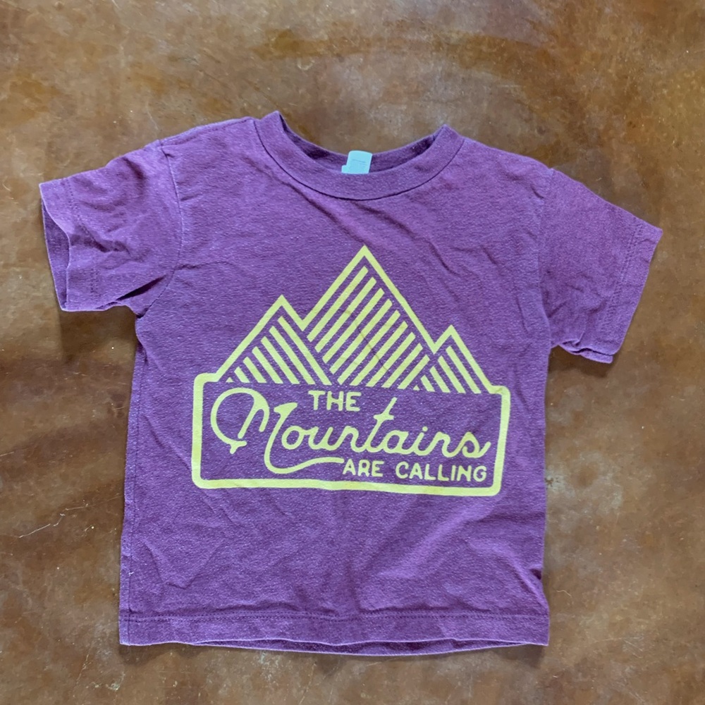 Rivet Apparel Co. 2T “the mountains are calling” used condition t shirt